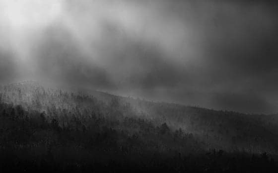 Cover image of 'Whispering Hill'